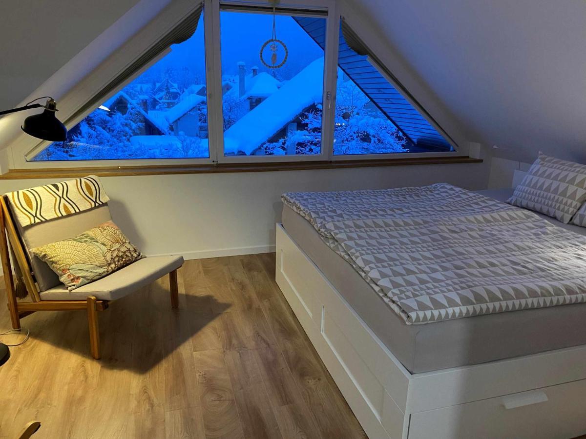 Apartment Zidana Marela - Attic With A View Kranjska Gora Ngoại thất bức ảnh