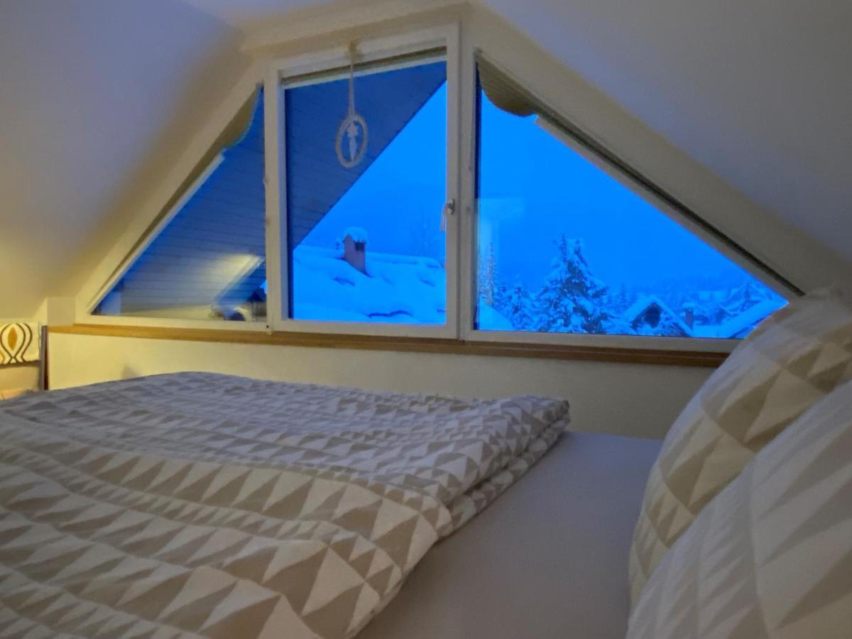Apartment Zidana Marela - Attic With A View Kranjska Gora Ngoại thất bức ảnh